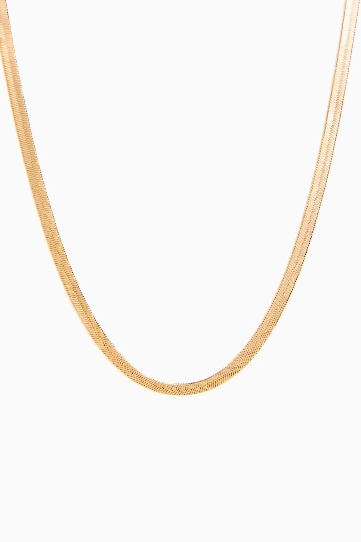 Able - Herringbone Chain Necklace - Gold