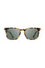 Shwood - Hamilton - Havana/G15 - Front