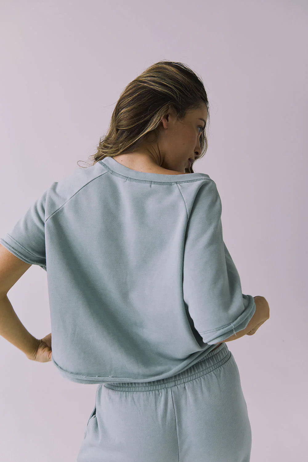 chaser amelia pullover garden sage back