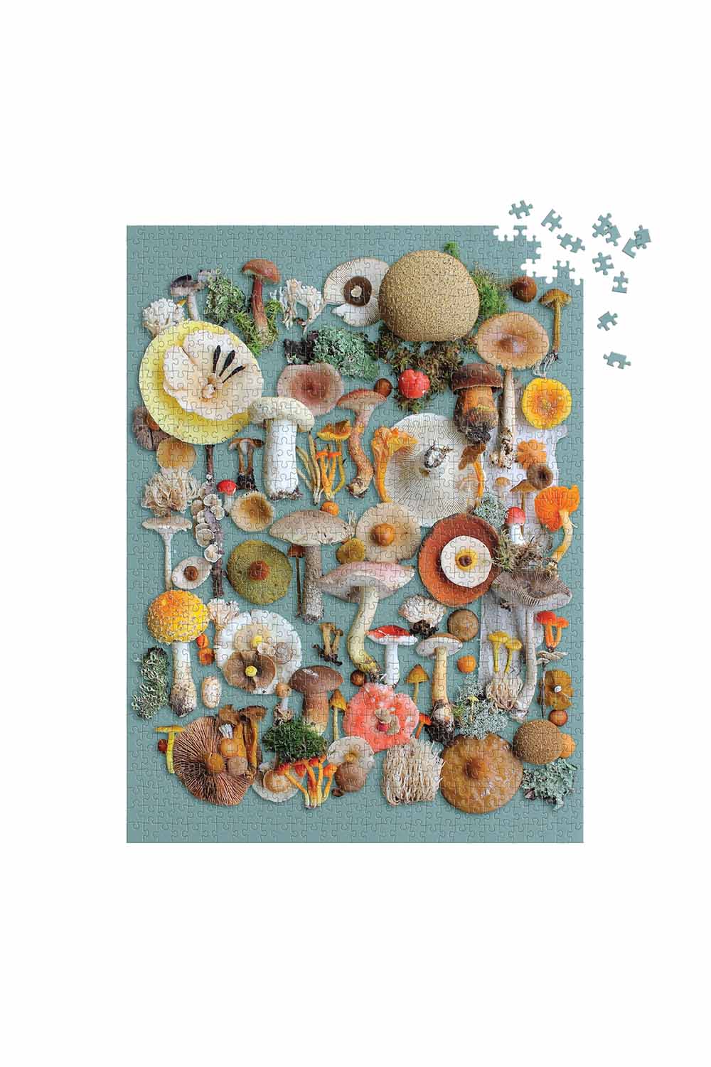 Chronicle - Foraged 1000pc Puzzle