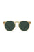 RAEN - Remmy 52 Polar - Champagne Crystal/Green - Front