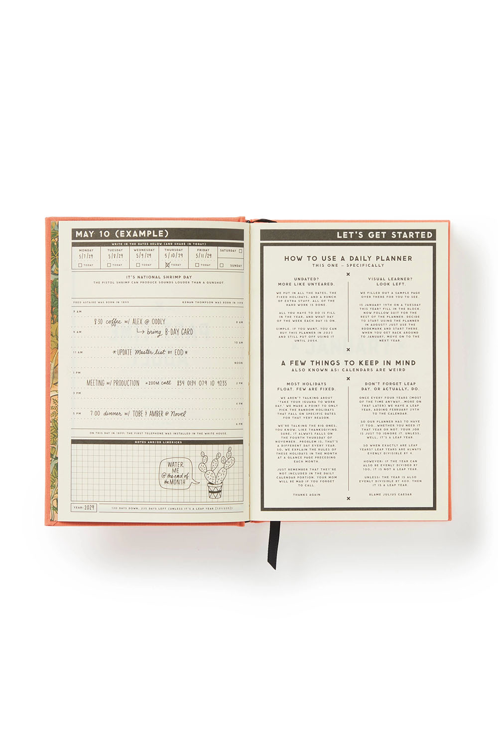 Chronicle - Part-Time Adult Undated Daily Planner