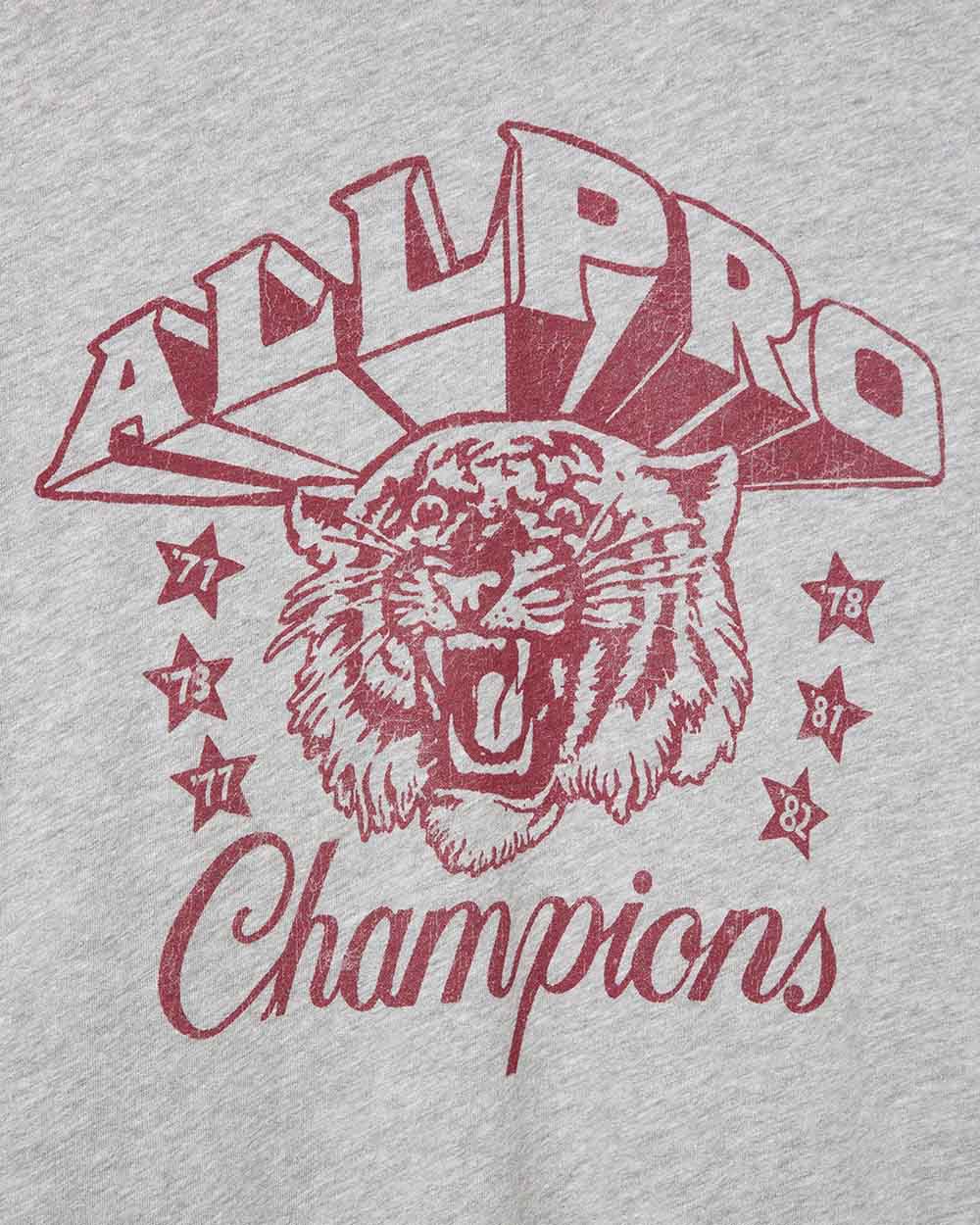 Junk Food All Pro Champions in Heather Grey — Graphic detail view