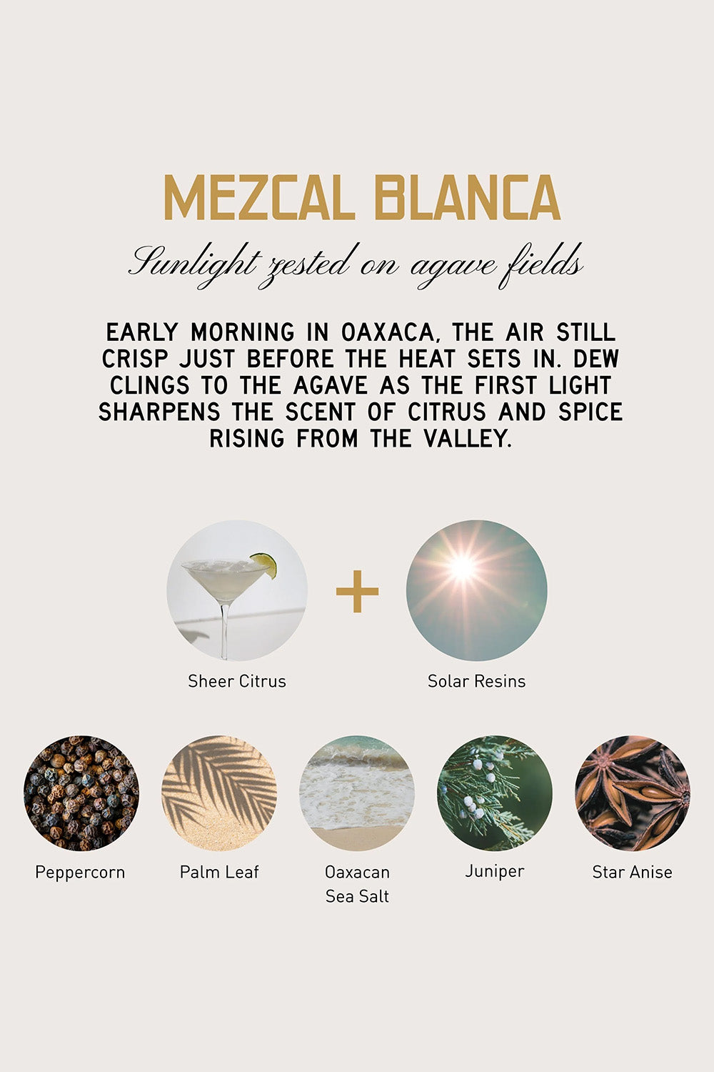 Kelly + Jones Mezcal Perfume Roll On in Blanca — Notes detail view