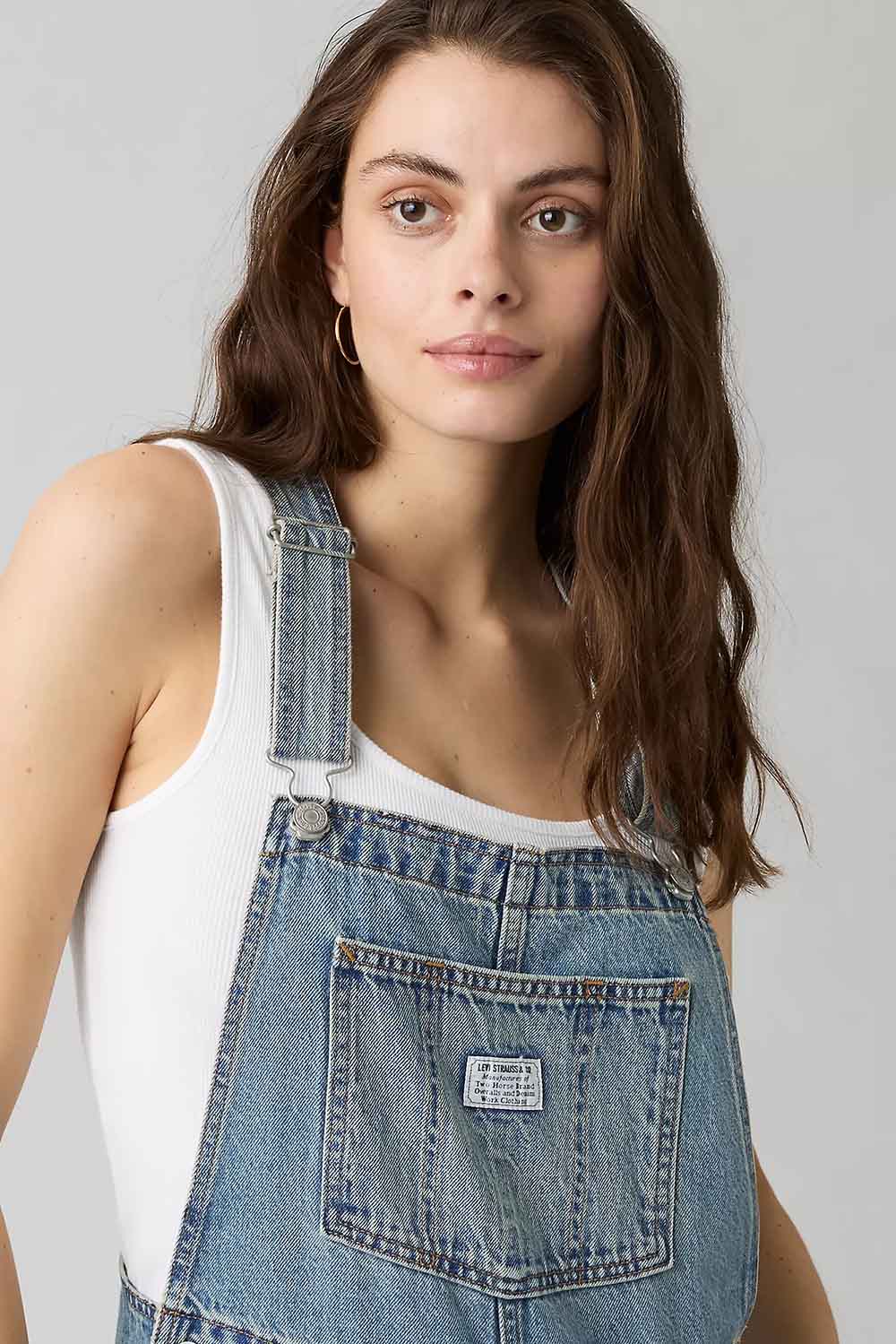 Levi's Baggy Overall in Hi and Welcome — Detail view