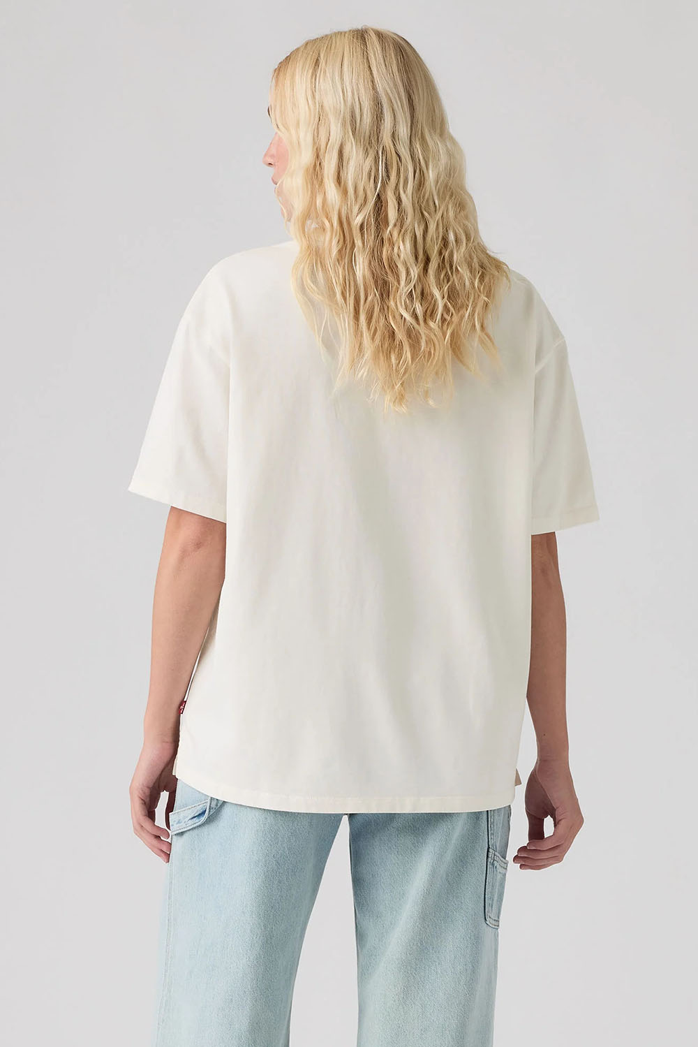 Levi's Graphic Tabor Tee in Moody Vase Egret — Back view