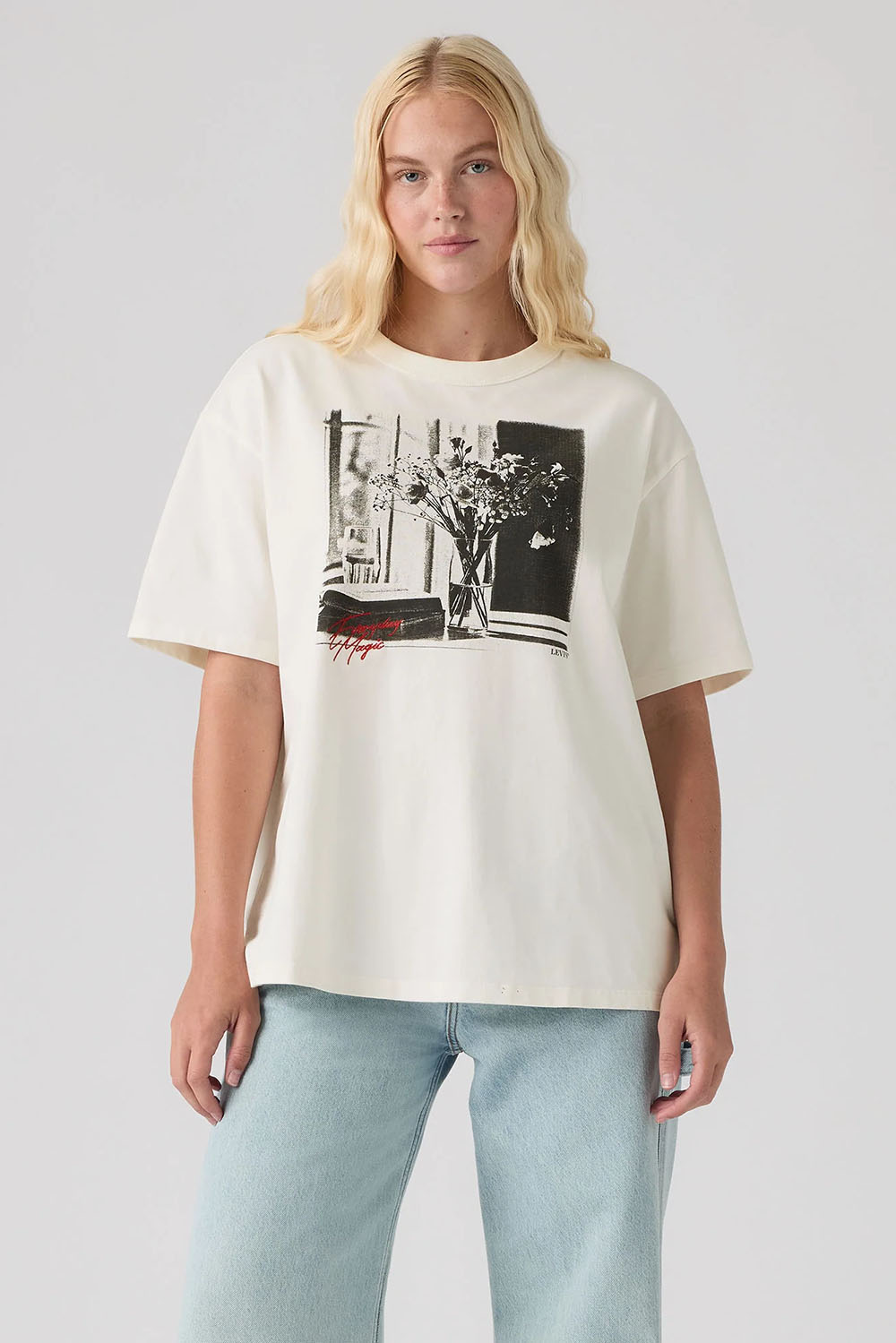 Levi's Graphic Tabor Tee in Moody Vase Egret — Front view, hand at side