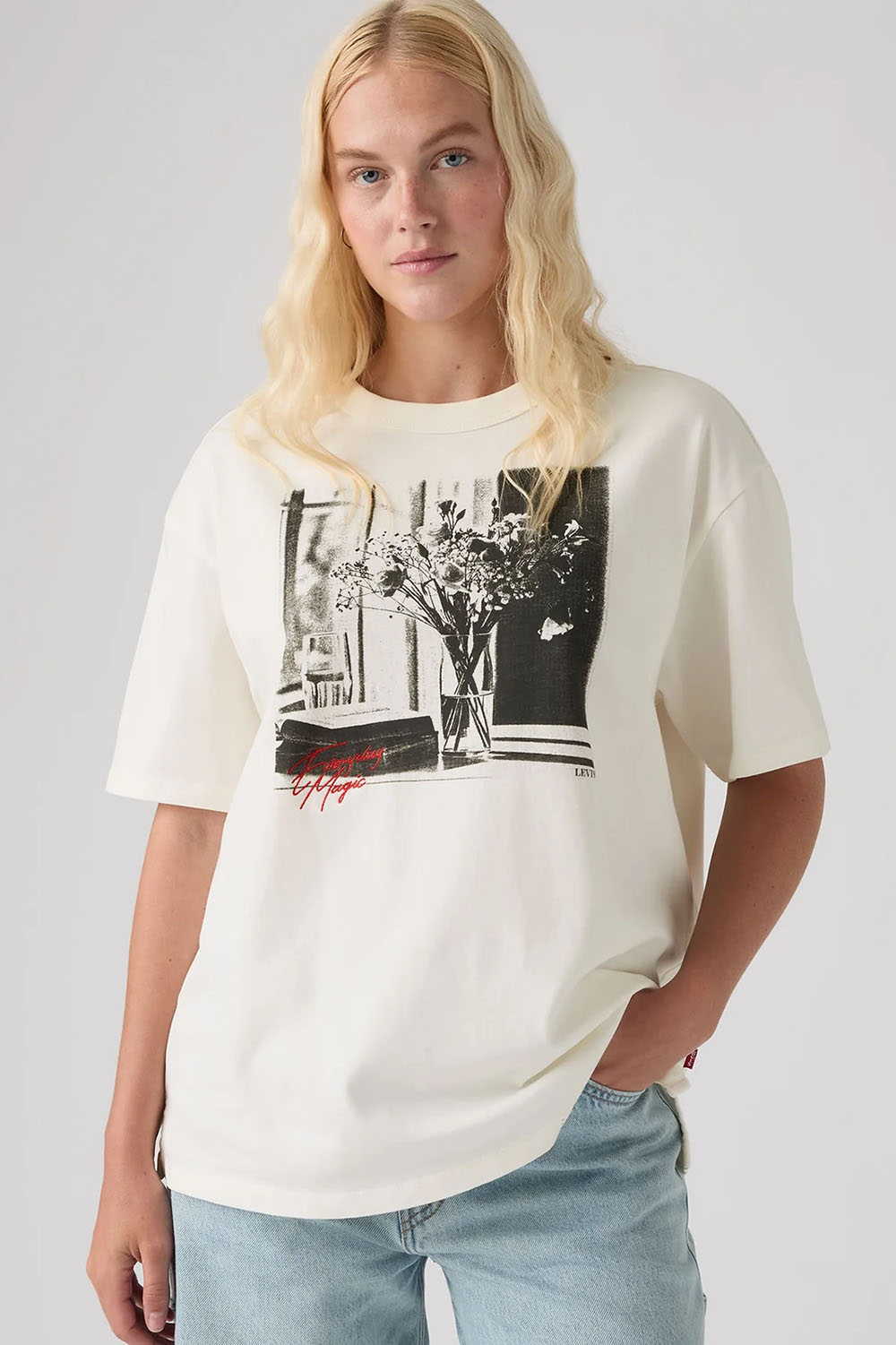 Levi's Graphic Tabor Tee in Moody Vase Egret — Front view