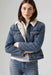 Levis Premium Original Sherpa Trucker in Hold A Candle — Model view
