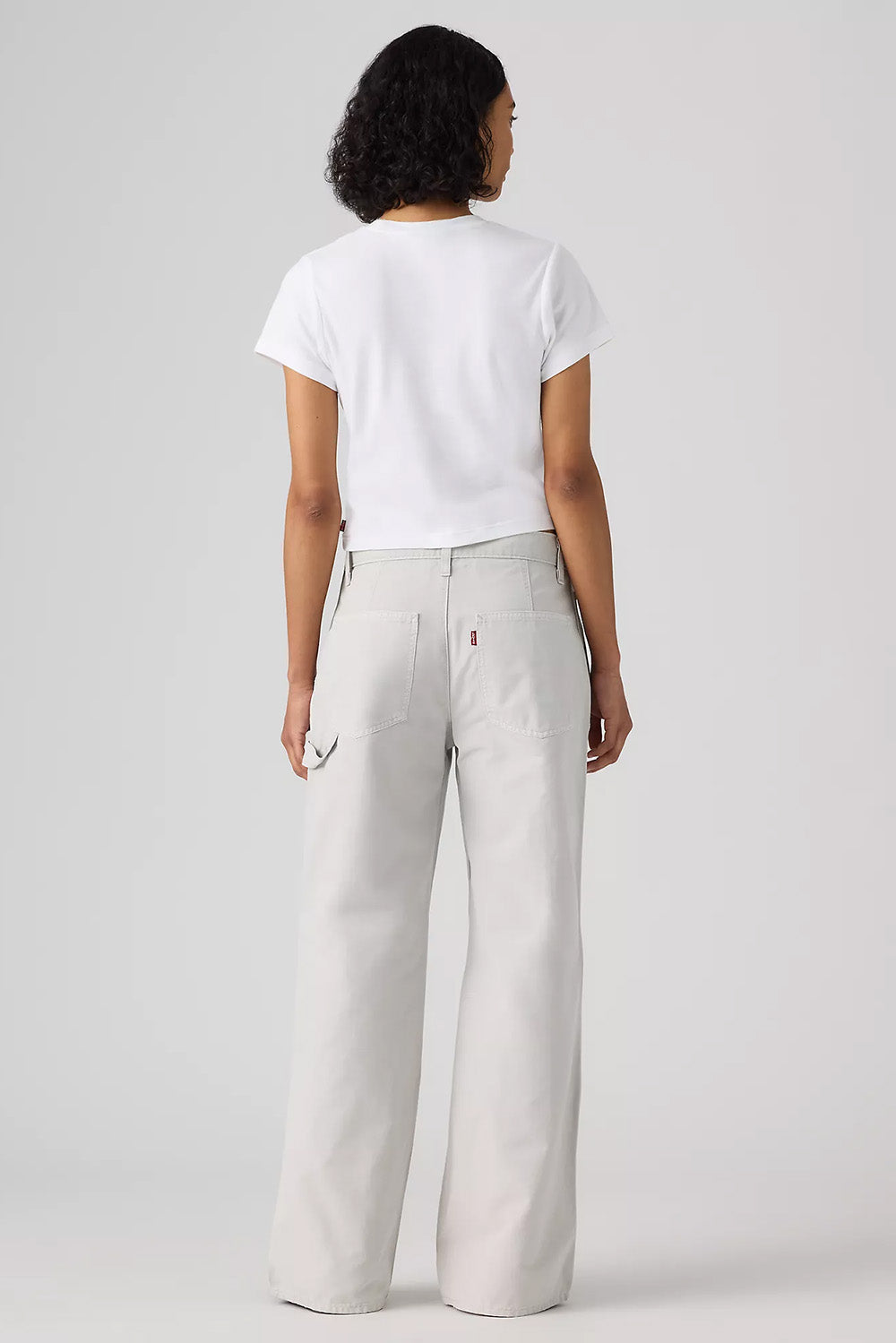 levis-workwear-loose-straight-canvas-vapor-blue-back