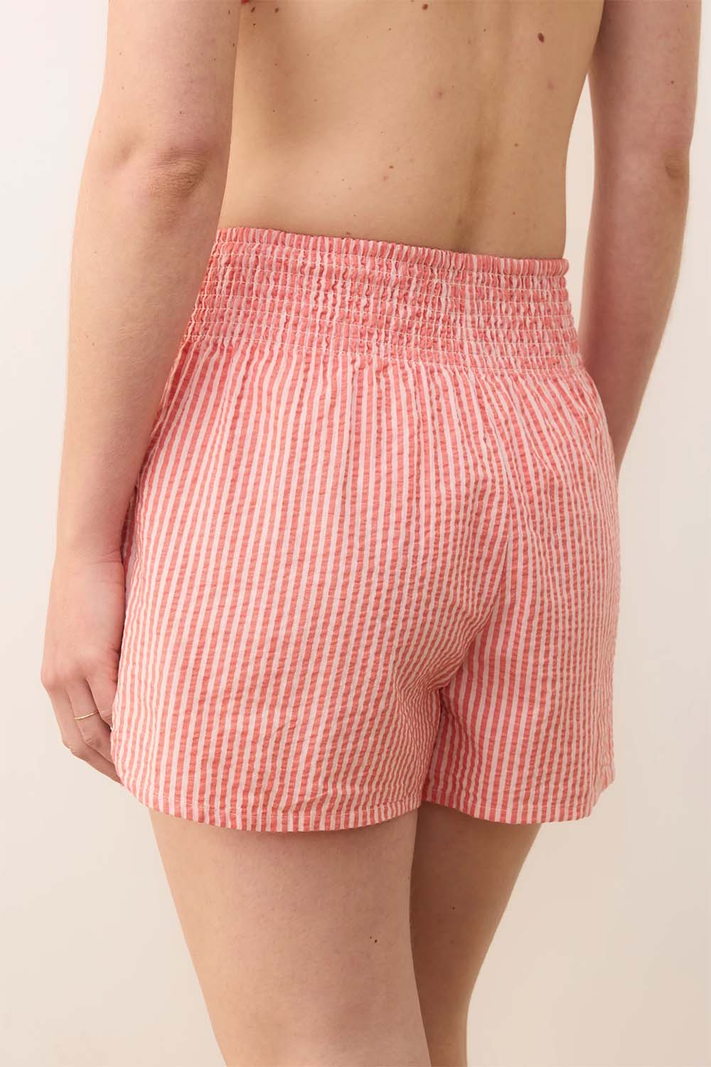 Marine Layer - Cali Seersucker Short - Hibiscus/Sand Stripe - Back