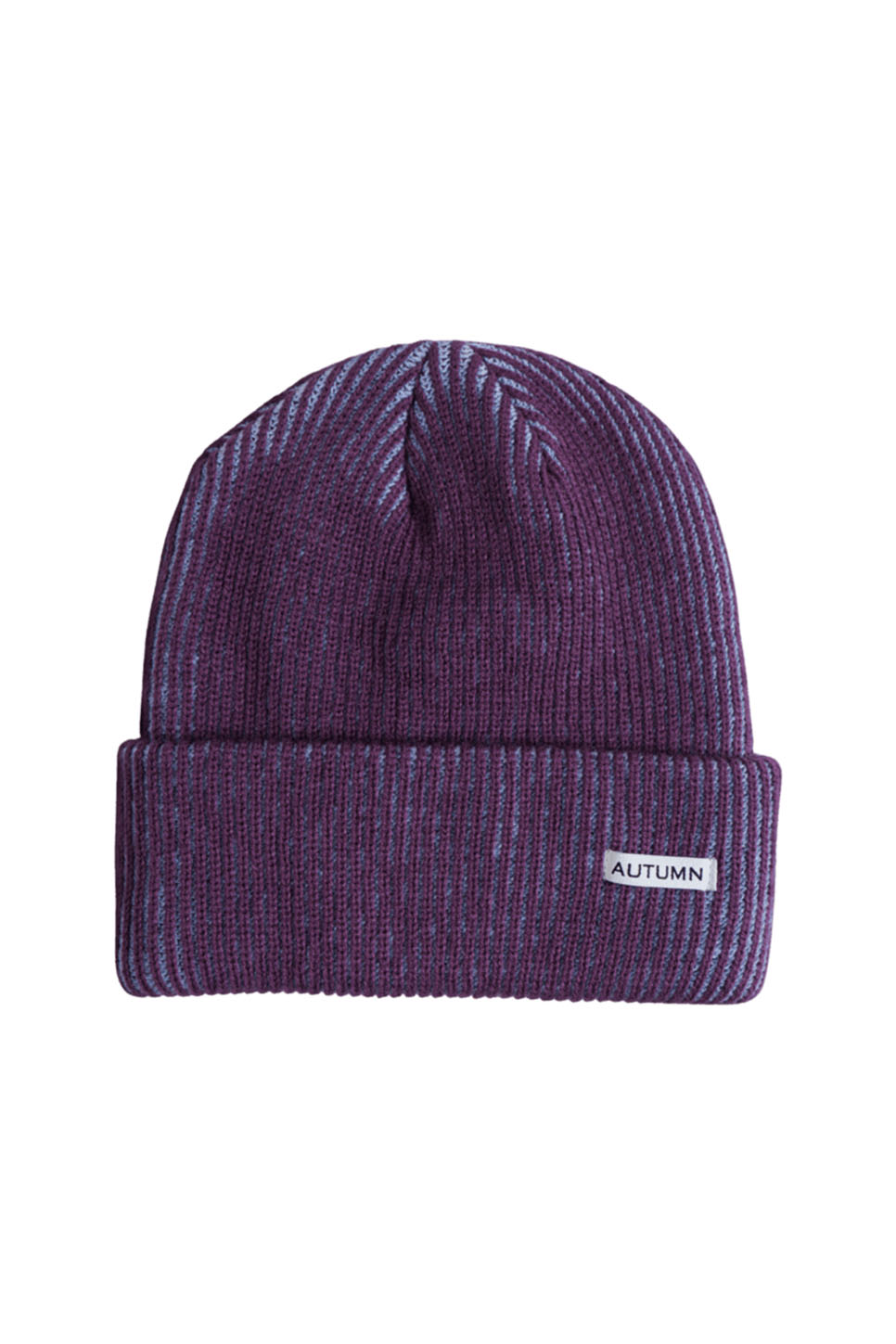 Autumn Select Cord Beanie in Plum — Flatlay view
