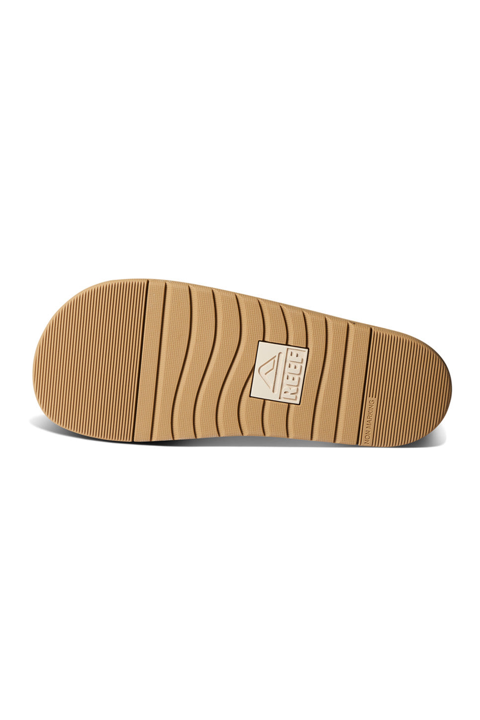 reef ojair two bar starfish bottom