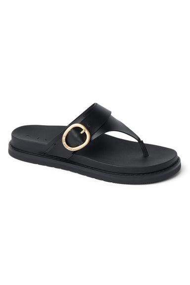 reef vista gabriella black profile