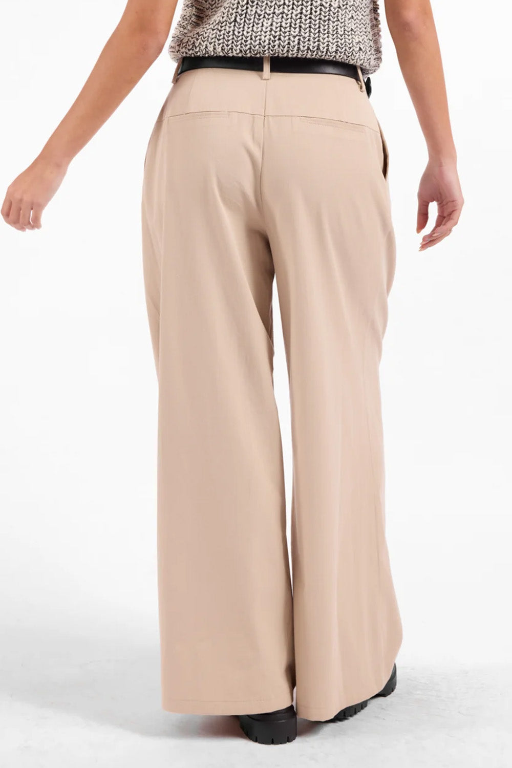 Sage the Label Logic Wide Leg Pant in Beige — Back view