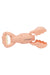 sunnylife lobster sand claws coral back
