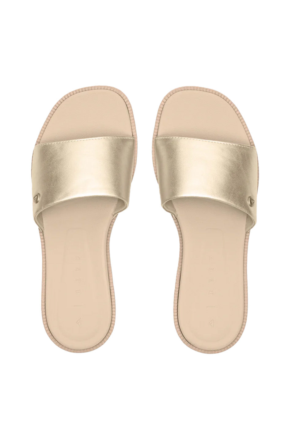 Reef - Sunny Ariannah - Golden Hour - Top
